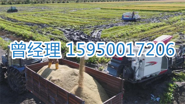 苏州到海西物流专线-苏州到海西货运专线-苏州直达海西物流