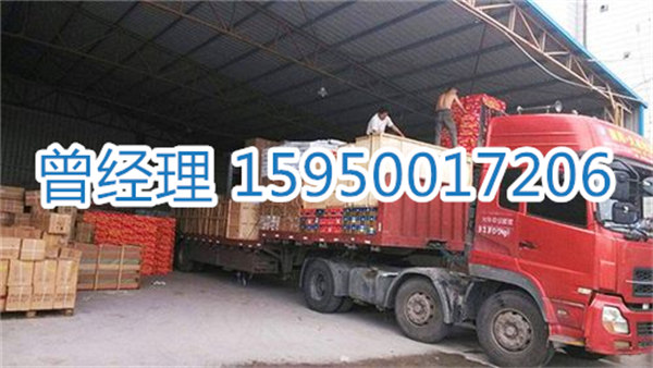 苏州到阳江物流专线-苏州到阳江货运专线-苏州直达阳江物流